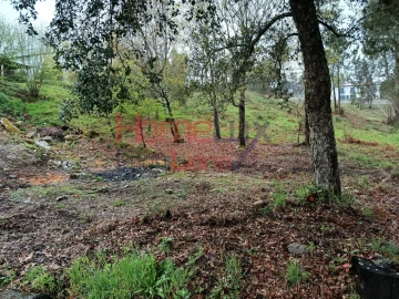 Terreno para Venda em São Pedro do Sul, Várzea e Baiões