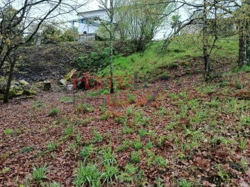 Terreno para Venda em São Pedro do Sul, Várzea e Baiões