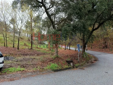 Terreno para Venda em São Pedro do Sul, Várzea e Baiões