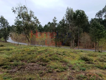 Terreno para Venda em São Pedro do Sul, Várzea e Baiões