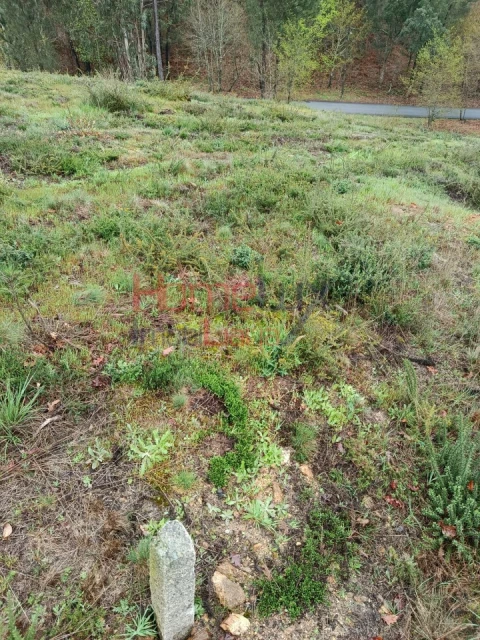 Terreno para Venda em São Pedro do Sul, Várzea e Baiões