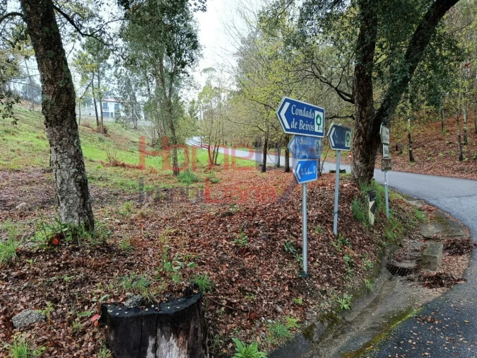 Terreno para Venda em São Pedro do Sul, Várzea e Baiões Foto 3
