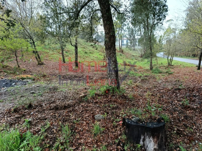 Terreno para Venda em São Pedro do Sul, Várzea e Baiões Foto 4