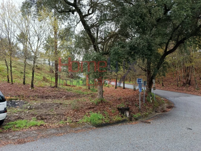 Terreno para Venda em São Pedro do Sul, Várzea e Baiões Foto 10