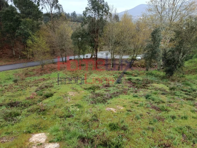 Terreno para Venda em São Pedro do Sul, Várzea e Baiões Foto 11