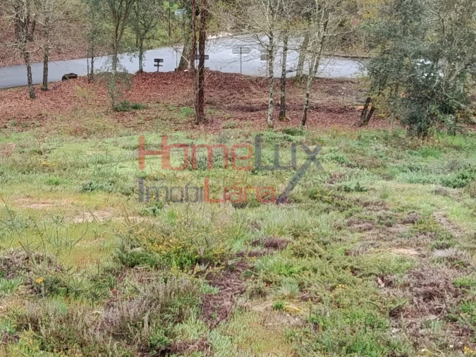 Terreno para Venda em São Pedro do Sul, Várzea e Baiões Foto 12