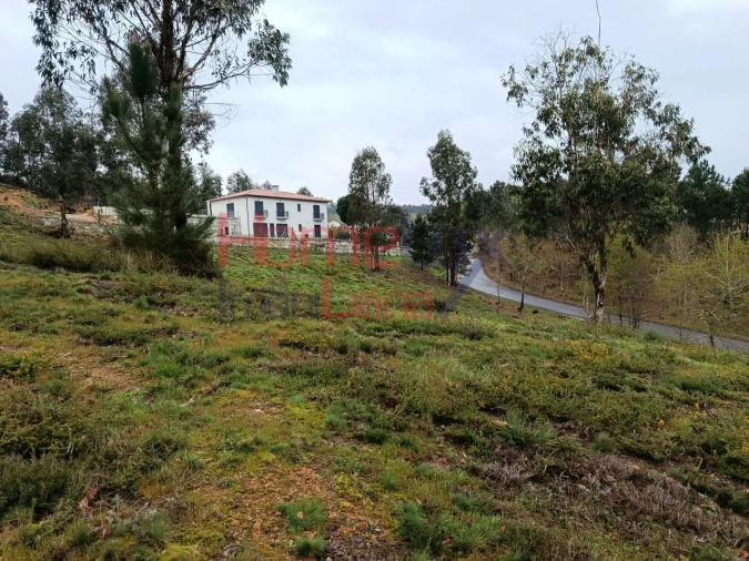 Terreno para Venda em São Pedro do Sul, Várzea e Baiões Foto 13