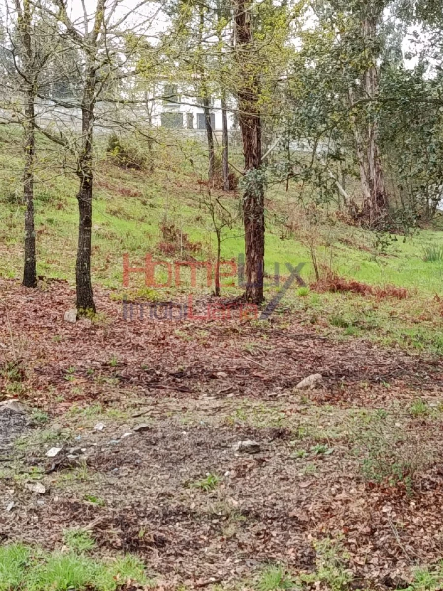 Terreno para Venda em São Pedro do Sul, Várzea e Baiões Foto 15