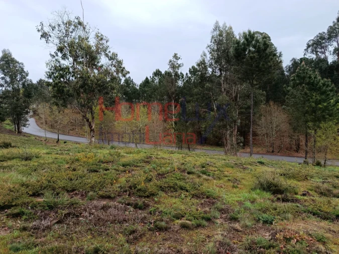 Terreno para Venda em São Pedro do Sul, Várzea e Baiões Foto 18