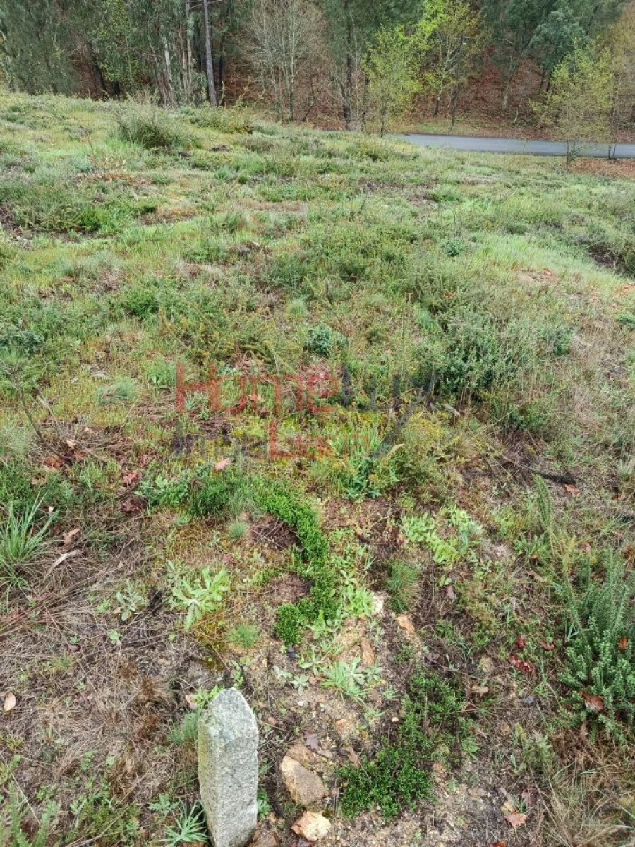 Terreno para Venda em São Pedro do Sul, Várzea e Baiões Foto 20