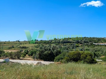 Terreno para Venda em Mexilhoeira Grande