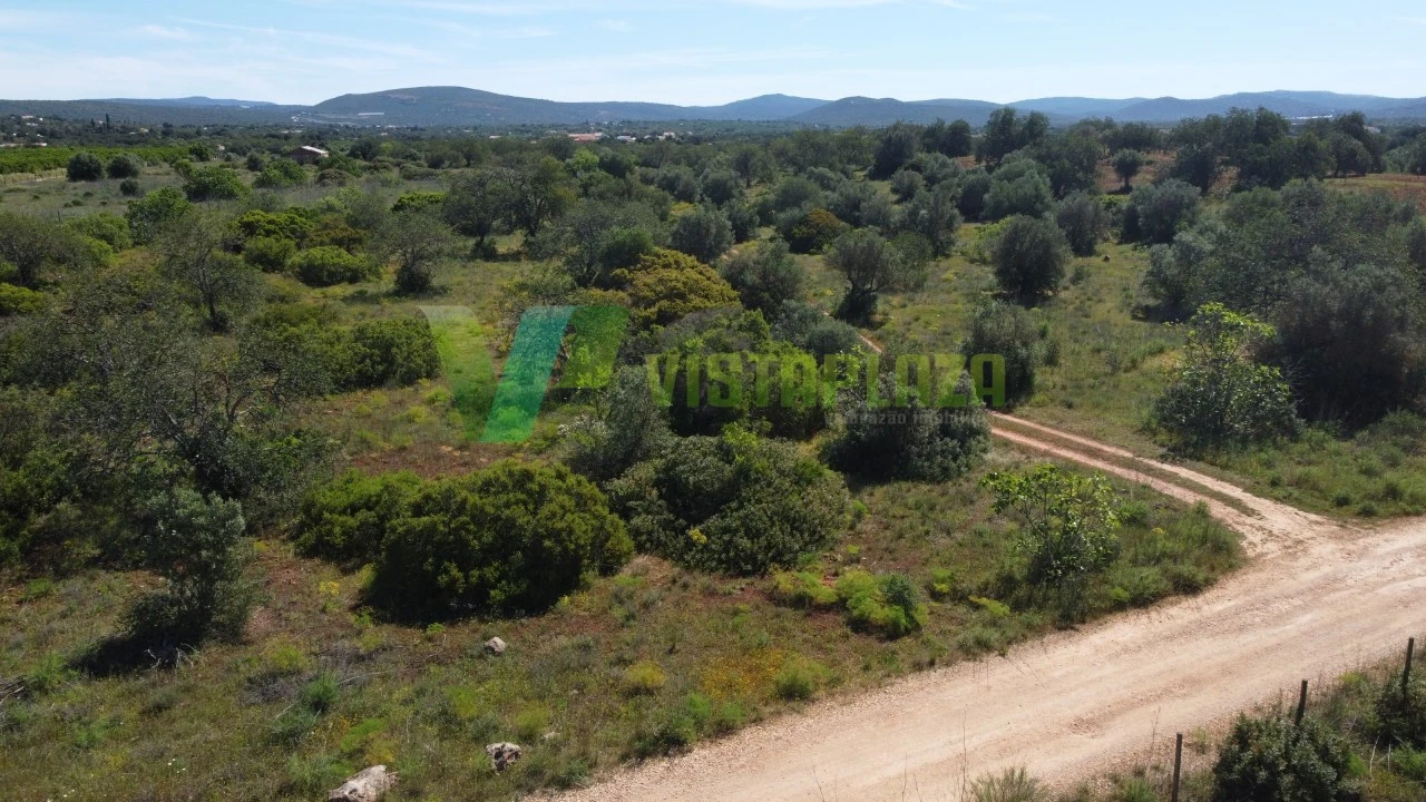 Terreno Agricola ou Rústico para Venda em Paderne Foto 10