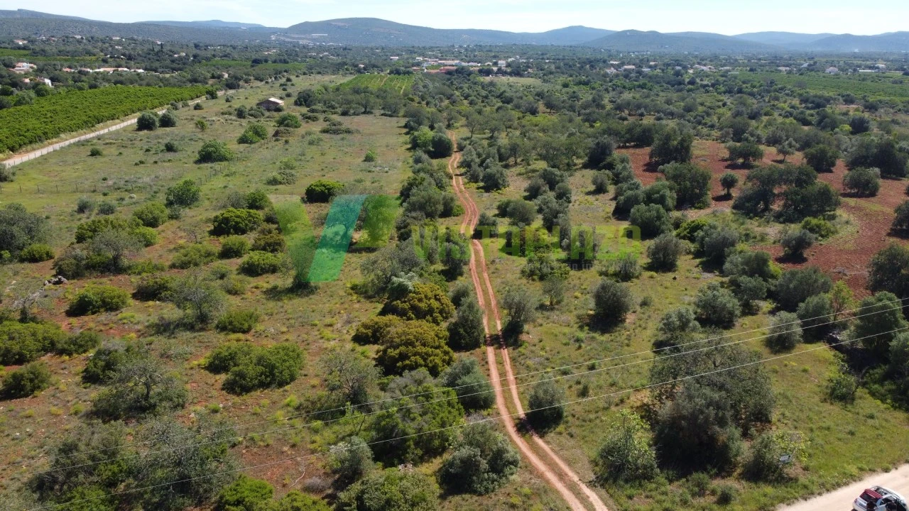 Terreno Agricola ou Rústico para Venda em Paderne Foto 18