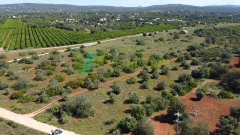 Terreno Agricola ou Rústico para Venda em Paderne