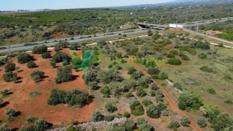 Terreno Agricola ou Rústico para Venda em Paderne