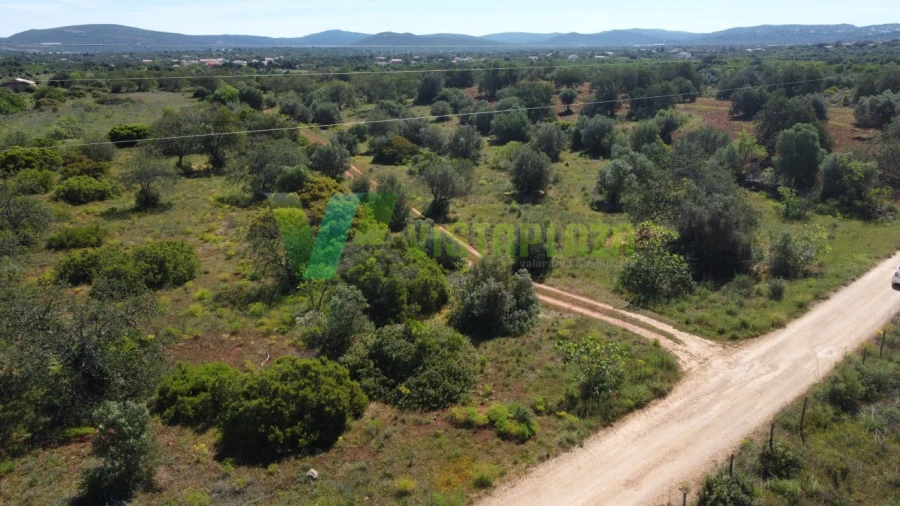 Terreno Agricola ou Rústico para Venda em Paderne Foto 8