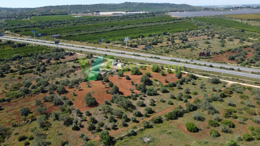 Terreno Agricola ou Rústico para Venda em Paderne