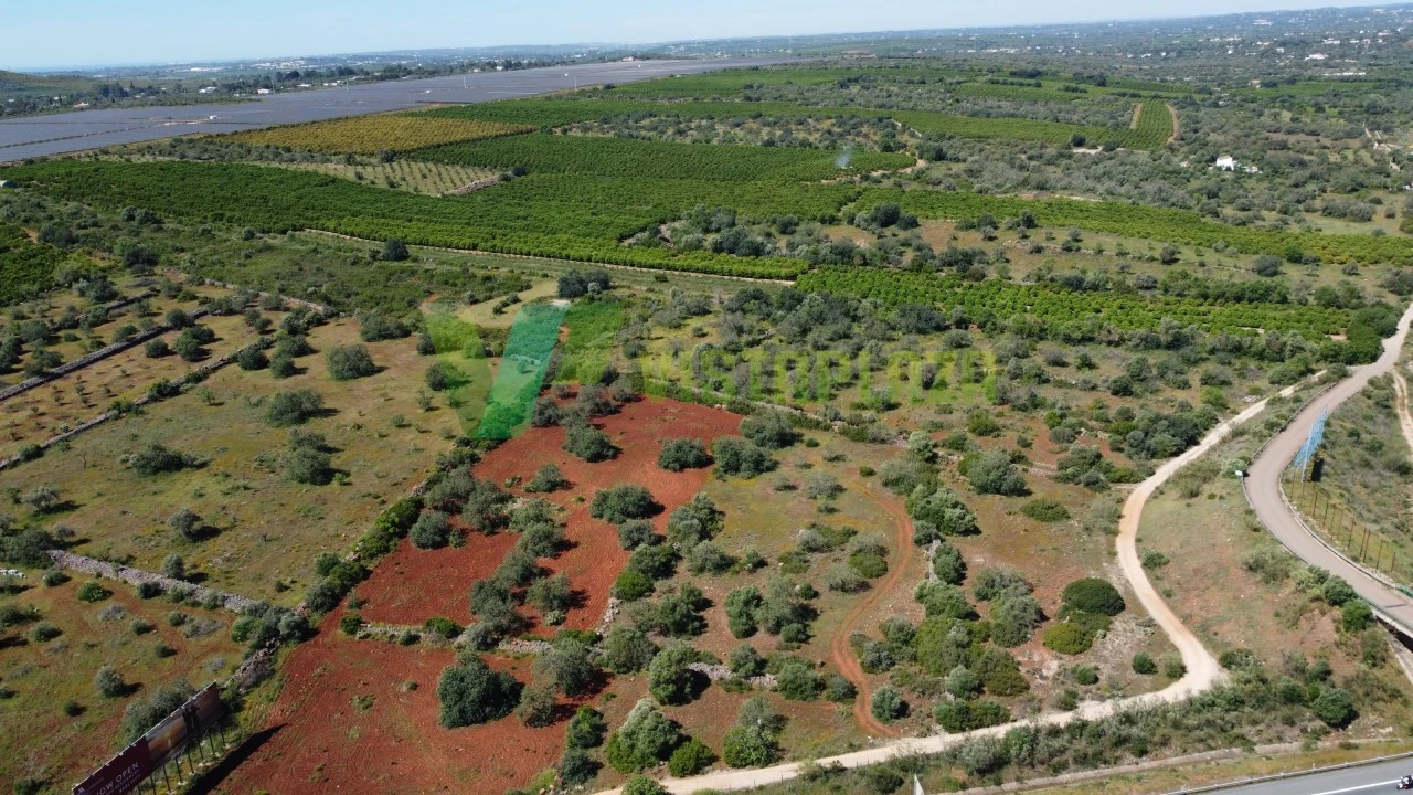Terreno Agricola ou Rústico para Venda em Albufeira e Olhos de Água Foto 7