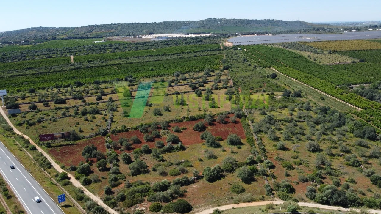 Terreno Agricola ou Rústico para Venda em Albufeira e Olhos de Água Foto 8