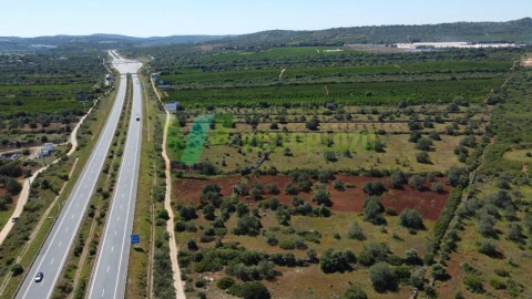 Terreno Agricola ou Rústico para Venda em Albufeira e Olhos de Água