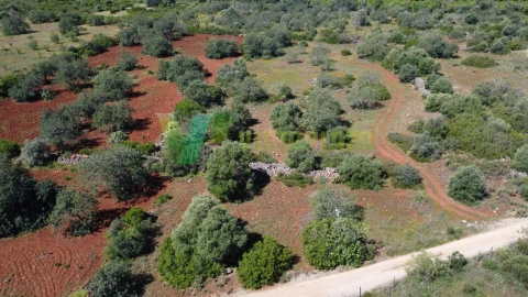Terreno Agricola ou Rústico para Venda em Albufeira e Olhos de Água