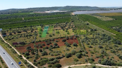 Terreno Agricola ou Rústico para Venda em Albufeira e Olhos de Água
