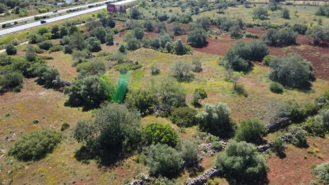 Terreno Agricola ou Rústico para Venda em Albufeira e Olhos de Água