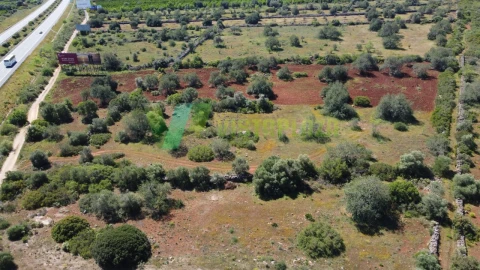 Terreno Agricola ou Rústico para Venda em Albufeira e Olhos de Água