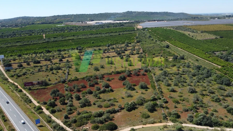 Terreno Agricola ou Rústico para Venda em Albufeira e Olhos de Água Foto 9