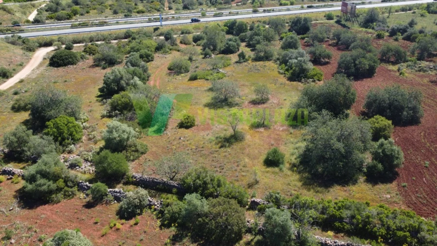 Terreno Agricola ou Rústico para Venda em Albufeira e Olhos de Água Foto 18