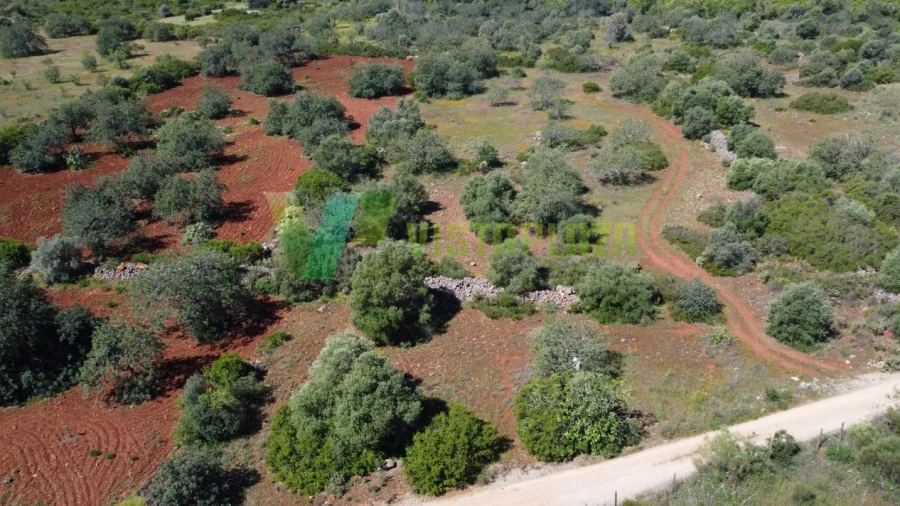 Terreno Agricola ou Rústico para Venda em Albufeira e Olhos de Água