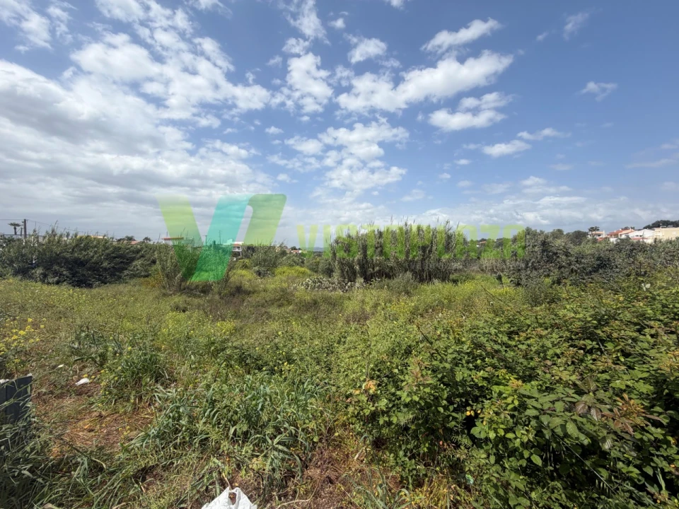Terreno Agricola ou Rústico para Venda em Moncarapacho e Fuseta Foto 12