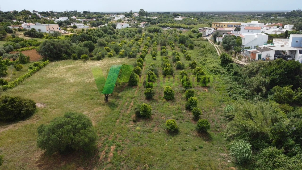 Terreno Agricola ou Rústico para Venda em Moncarapacho e Fuseta Foto 1