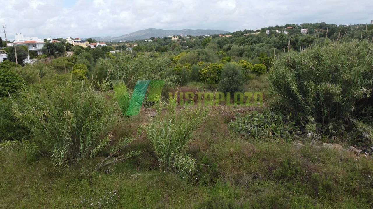 Terreno Agricola ou Rústico para Venda em Moncarapacho e Fuseta Foto 8