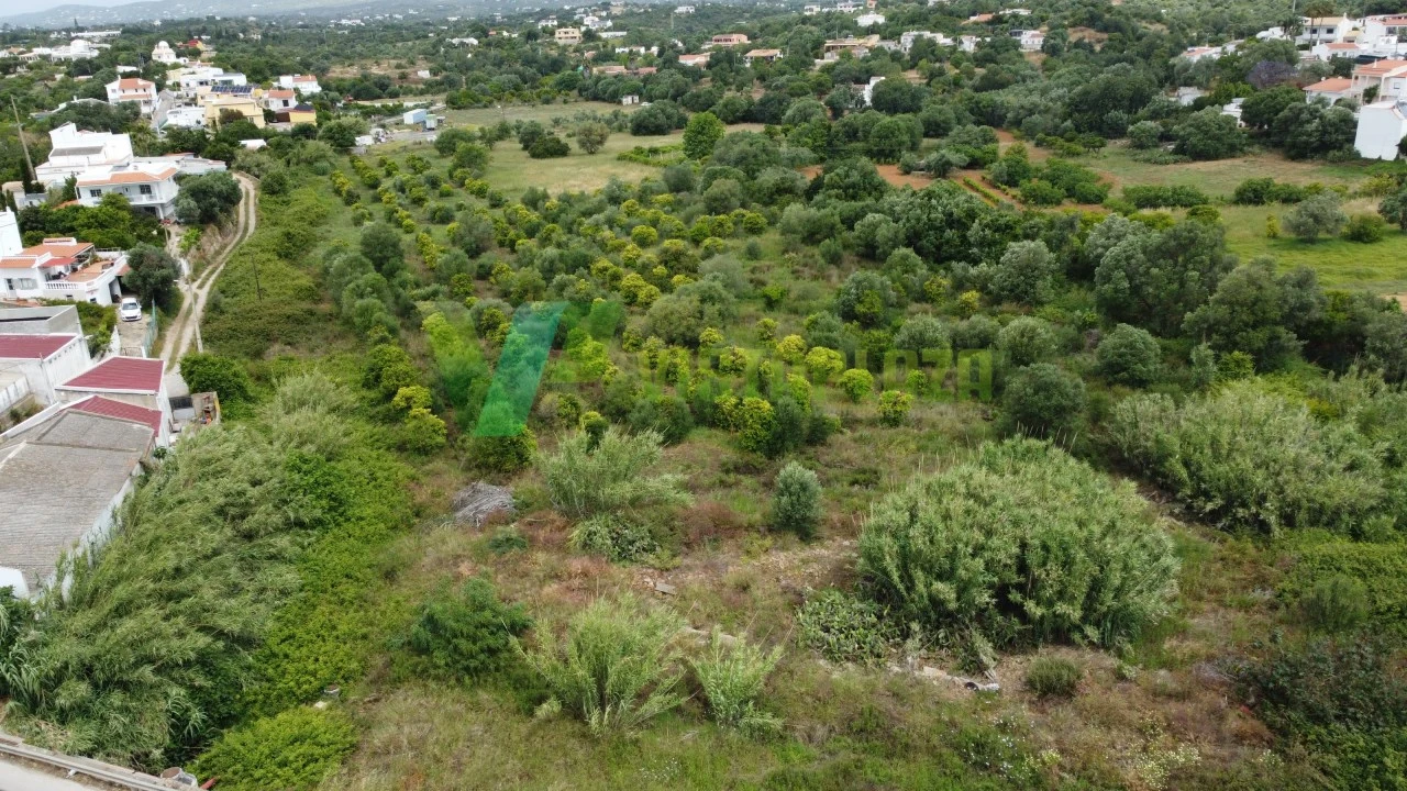 Terreno Agricola ou Rústico para Venda em Moncarapacho e Fuseta Foto 10