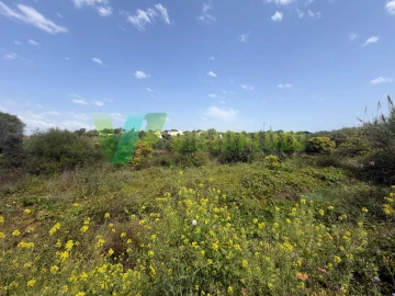 Terreno Agricola ou Rústico para Venda em Moncarapacho e Fuseta