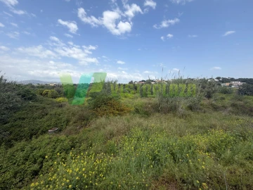 Terreno Agricola ou Rústico para Venda em Moncarapacho e Fuseta