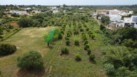 Terreno Agricola ou Rústico para Venda em Moncarapacho e Fuseta
