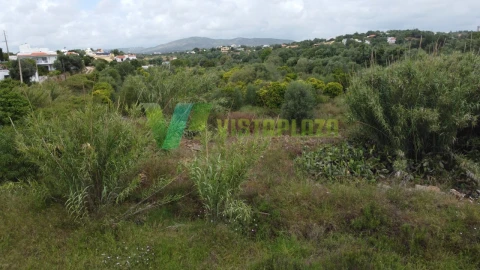 Terreno Agricola ou Rústico para Venda em Moncarapacho e Fuseta