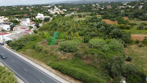 Terreno Agricola ou Rústico para Venda em Moncarapacho e Fuseta