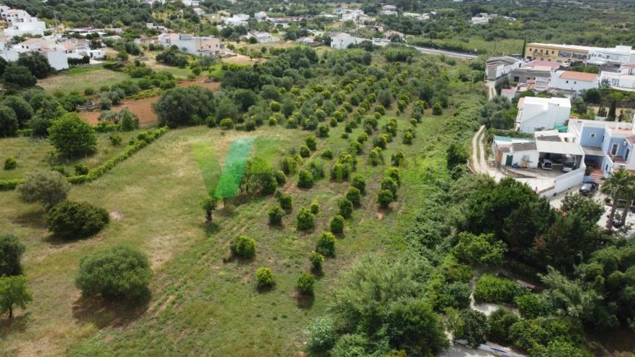 Terreno Agricola ou Rústico para Venda em Moncarapacho e Fuseta Foto 3