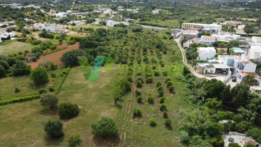 Terreno Agricola ou Rústico para Venda em Moncarapacho e Fuseta Foto 4