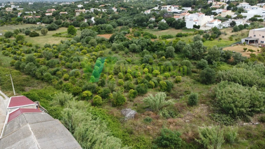 Terreno Agricola ou Rústico para Venda em Moncarapacho e Fuseta Foto 11