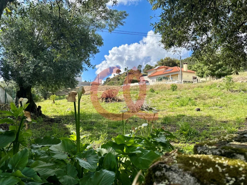 Terreno para Venda em Cardielos e Serreleis Foto 18