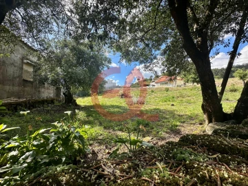Terreno para Venda em Cardielos e Serreleis