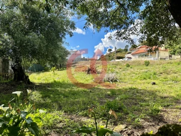Terreno para Venda em Cardielos e Serreleis