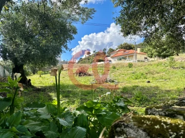 Terreno para Venda em Cardielos e Serreleis