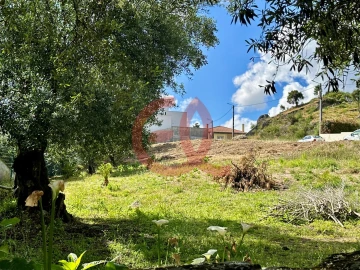 Terreno para Venda em Cardielos e Serreleis