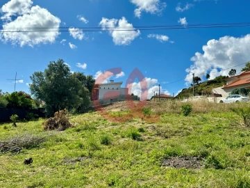 Terreno para Venda em Cardielos e Serreleis