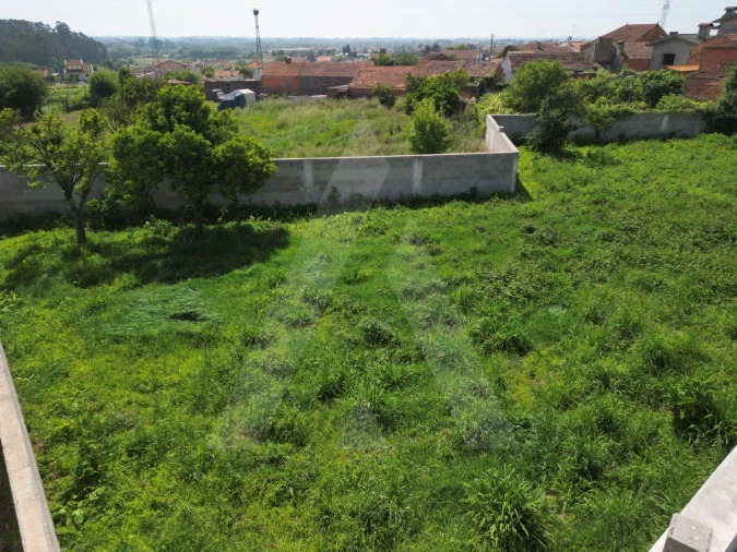 Terreno para Venda em Canelas e Fermelã Foto 6